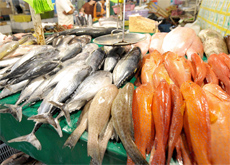 Wirtschaft und Erdöl